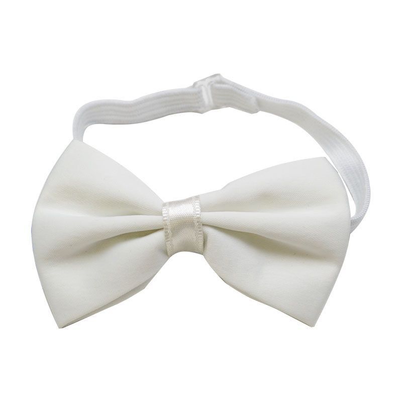 Παπιγιόν αγόρι 145315 White