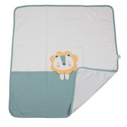 Διπλή Πάνα Αγκαλιάς 3002-2 (80χ90εκ)