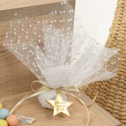 Χειροποίητη Μπομπονιέρα Αστέρι  6175 Plexi glass_0