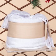 Aslanis Baby Ολοκληρωμένο χριστουγεννιάτικο πακέτο 432 μονόγραμμα τρολευ 16τμχ